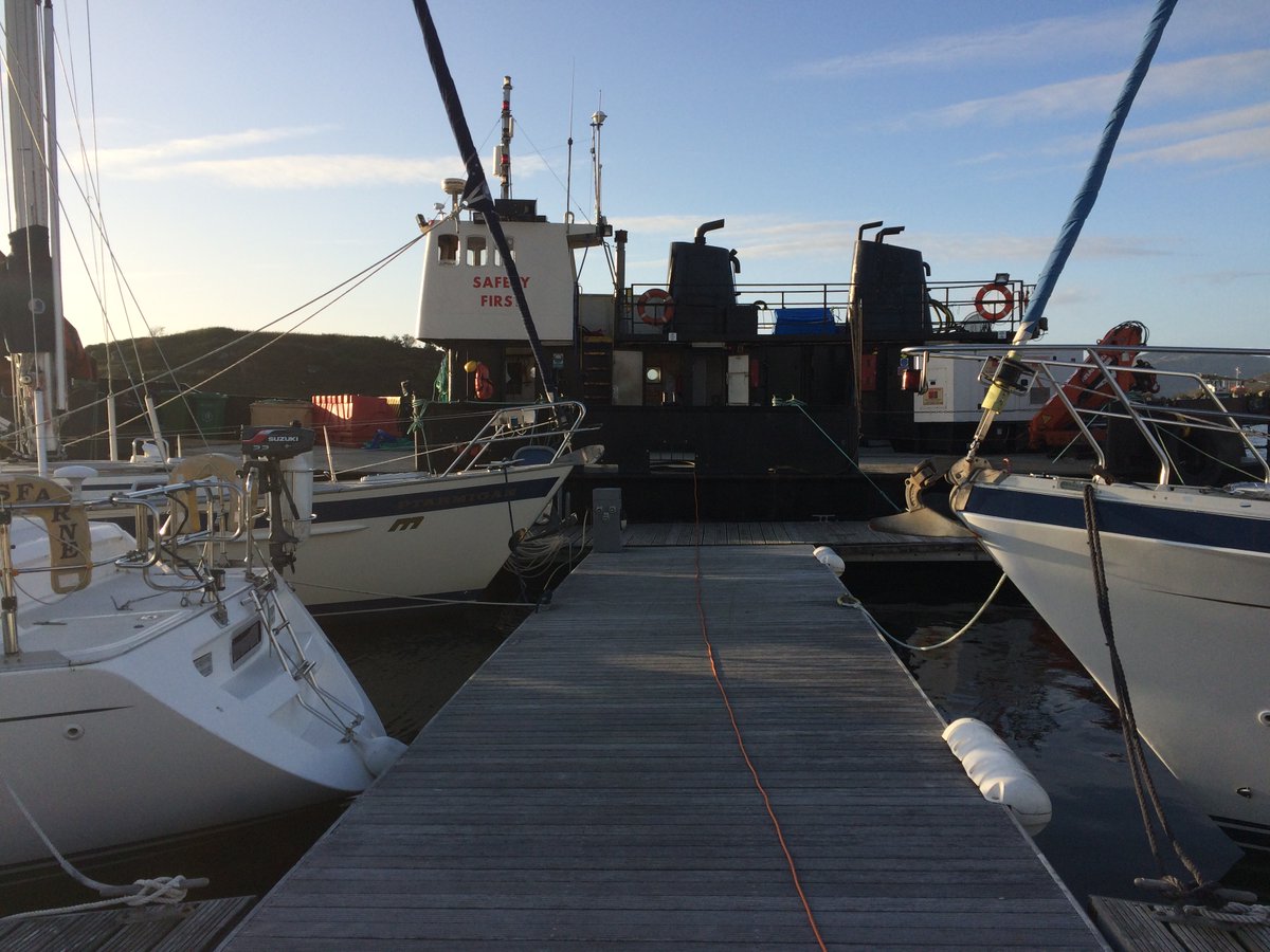 On 15 September 2019 I got a call from a friend at Craobh Haven, telling me that the whole marina was stinking with dead fish being unloaded by MOWI. I went round and took a photo of their workboat.

When the statistics appeared on Aquaculture Scotland, I copied down the figures.