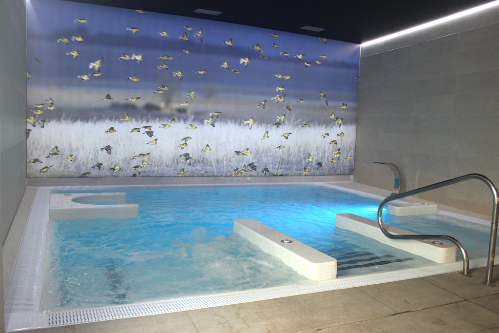oferplan_nc's tweet photo. REGALA PLANES ESTA NAVIDAD.

Espectacular propuesta con spa y opciones con tratamiento haloterapia o menú.

https://t.co/0tKQuHwWl2 https://t.co/kWJ5K2MRK5