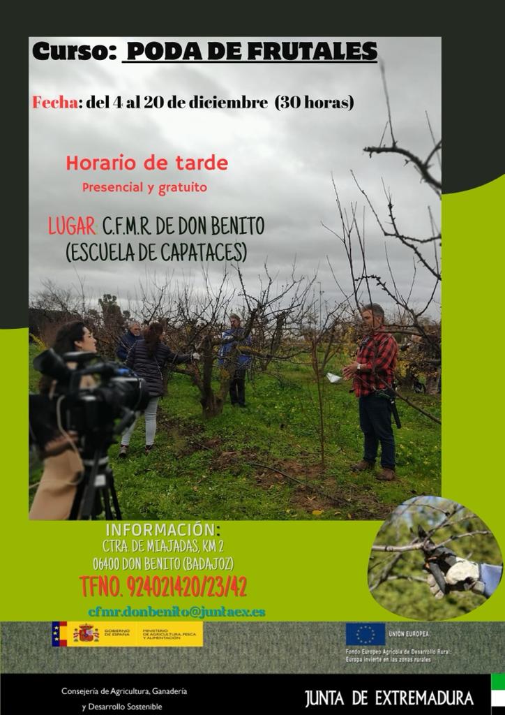 CFMRDonBenito's tweet photo. Curso de poda de frutales https://t.co/CtvctgwxC4