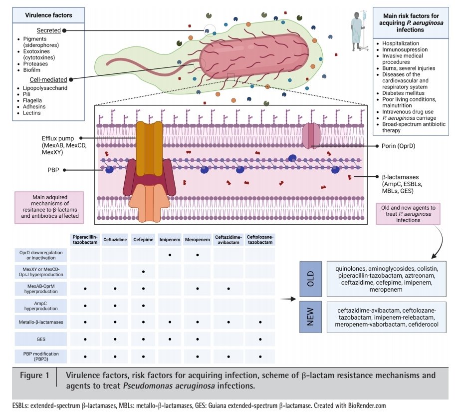 Miguel Ángel Amor tweet media