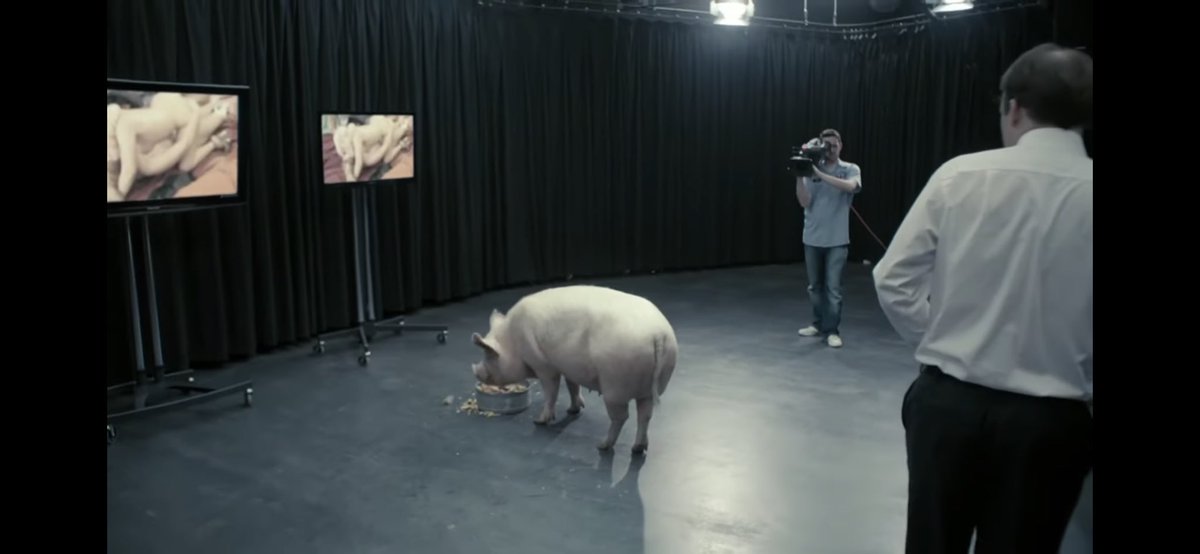 RyanColling1's tweet image. The man who transferred #SwineFlu from pig to human