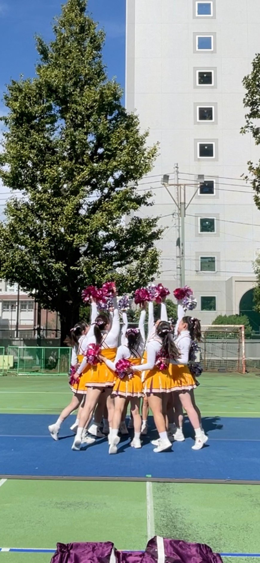 チアリーディング共立女子ジャージスエットパンツ チアリーディング共立女子ジャージスエットパンツ 共立女子大学