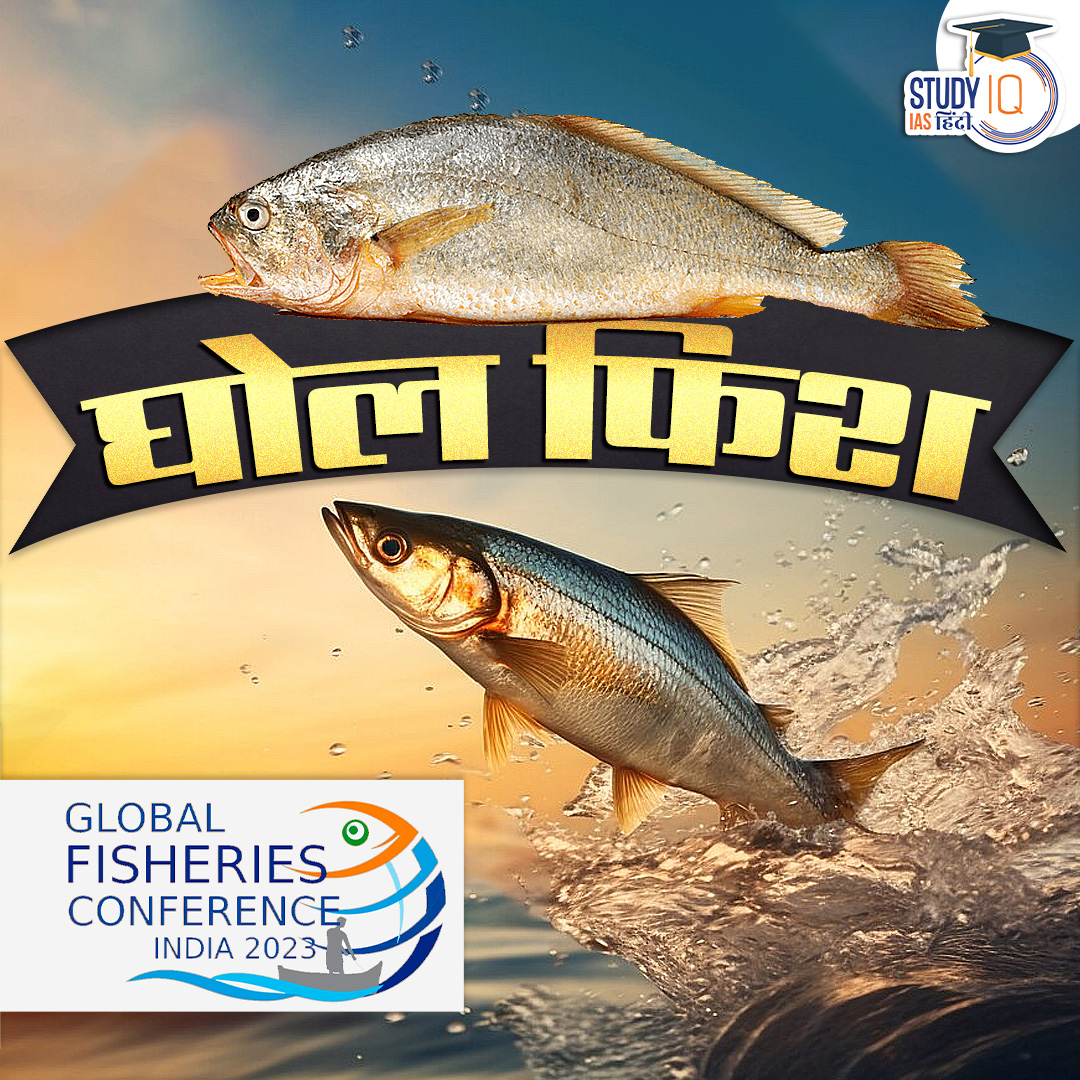 upsciq's tweet photo. Ghol Fish

#gholfish #iucn #gujarat #gujaratstatefish #globalfishconfrenceindia2023 #maharashtra #currentaffairs #dailycurrentaffairs #upsc #cse #ips #ias https://t.co/u9MGVVKJYS
