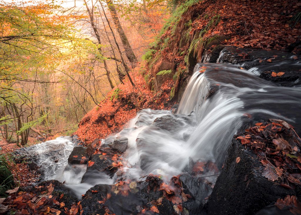 Itay Kaplan (@itkap1308) on Twitter photo Cleddon Shoots
<a href="/ItsYourWales/">It's Your Wales</a> <a href="/NTCymru_/">National Trust Cymru</a> #waterfall #ThePhotoHour #nature #Autumn #AutumnVibes #Wales <a href="/visit_mon/">Visit Monmouthshire</a> <a href="/visitwales/">Visit Wales ๐ด๓ ง๓ ข๓ ท๓ ฌ๓ ณ๓ ฟ</a> #WyeValley <a href="/VisitDeanWye/">Visit the Forest of Dean & Wye Valley</a> #Wales Cleddon Shoots
<a href="/ItsYourWales/">It's Your Wales</a> <a href="/NTCymru_/">National Trust Cymru</a> #waterfall #ThePhotoHour #nature #Autumn #AutumnVibes #Wales <a href="/visit_mon/">Visit Monmouthshire</a> <a href="/visitwales/">Visit Wales ๐ด๓ ง๓ ข๓ ท๓ ฌ๓ ณ๓ ฟ</a> #WyeValley <a href="/VisitDeanWye/">Visit the Forest of Dean & Wye Valley</a> #Wales