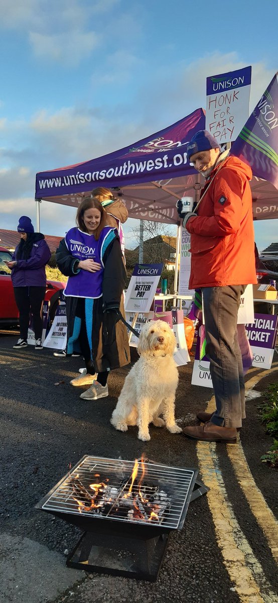 Pippin is supporting professional services staff on strike at Plymouth Marjon University today. Repost to support H.E. staff fighting for fair pay #DogsOnPicketLines
