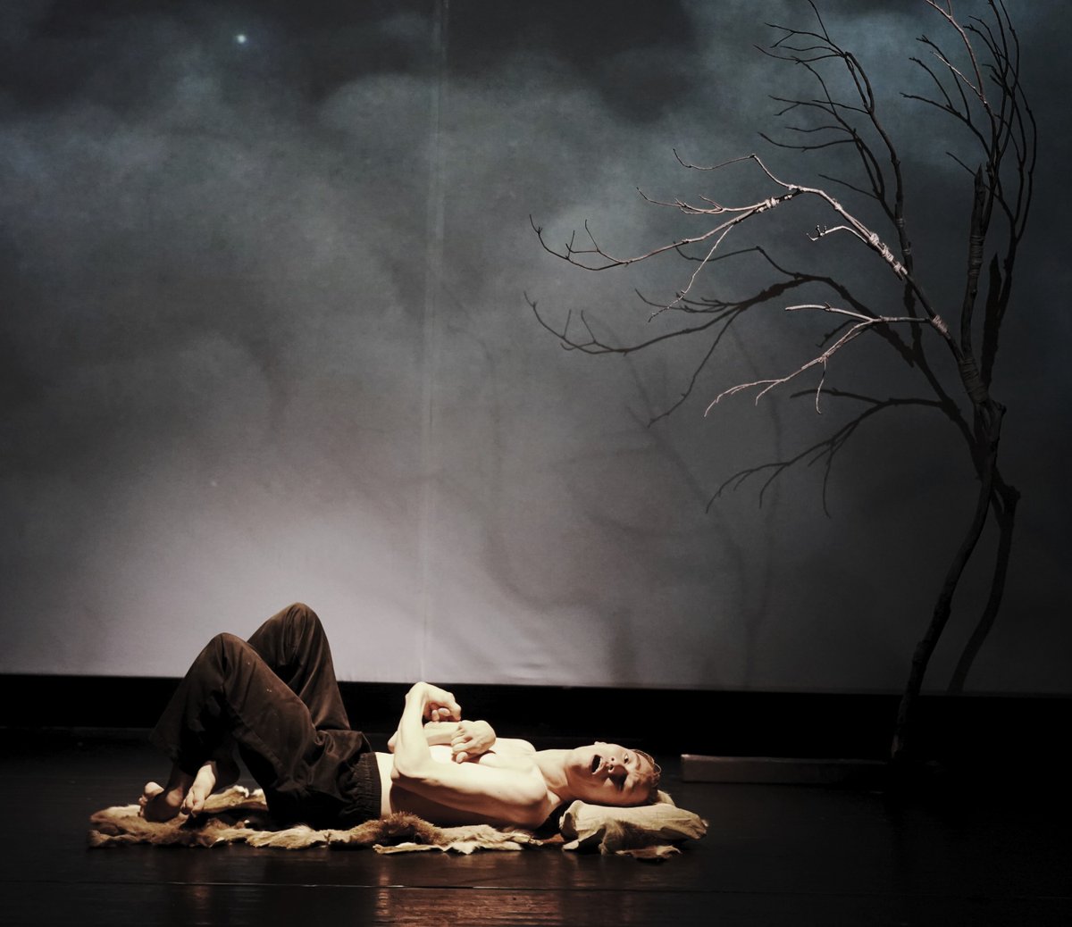b_depayse's tweet photo. bug-depayse2023 椅子に座る　我思う、故に我動かず  11/24-26 at Theaterバビロンの流れのほとりにて　

＜chapter3＞  生命の木

photo 大洞博靖 https://t.co/z6ukMgXSxr