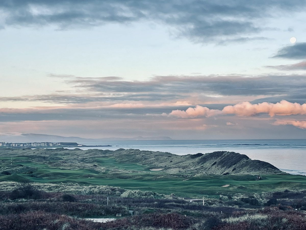 Mark Hopkins tweet media