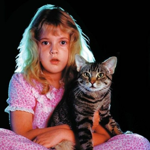 Random_Imbecile's tweet photo. @iamAtheistGirl Cat's Eye and Nightmare on Elm St. https://t.co/SCoFbgjKFG