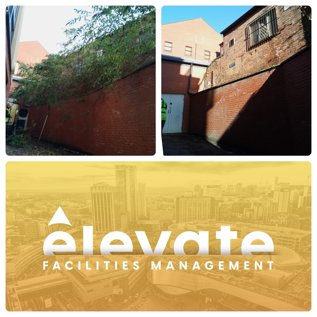 FmElevate's tweet image. 🍃 Elevate FM Ltd - Revitalizing Student Spaces in Nottingham! 🌿

#ElevateFM #VegetationControl #StudentAccommodation #Nottingham #PropertyMaintenance #FacilitiesManagement #CampusLife