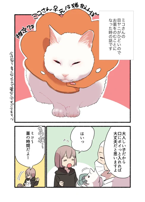 飼い猫との仁義なき投薬争いの話(1/2)  #漫画が読めるハッシュタグ #愛されたがりの白猫ミコさん