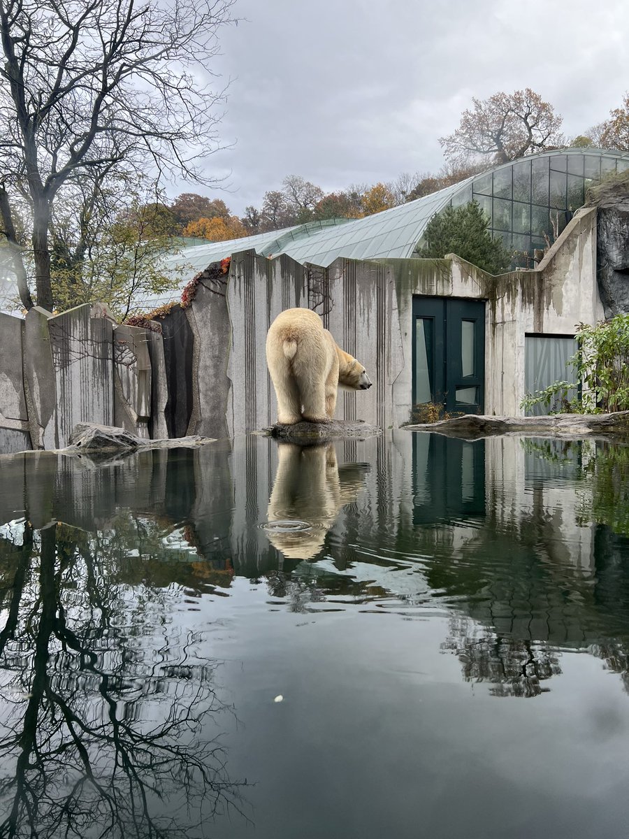 Arto023's tweet photo. Zoo 👋 https://t.co/yb7kAW67d9