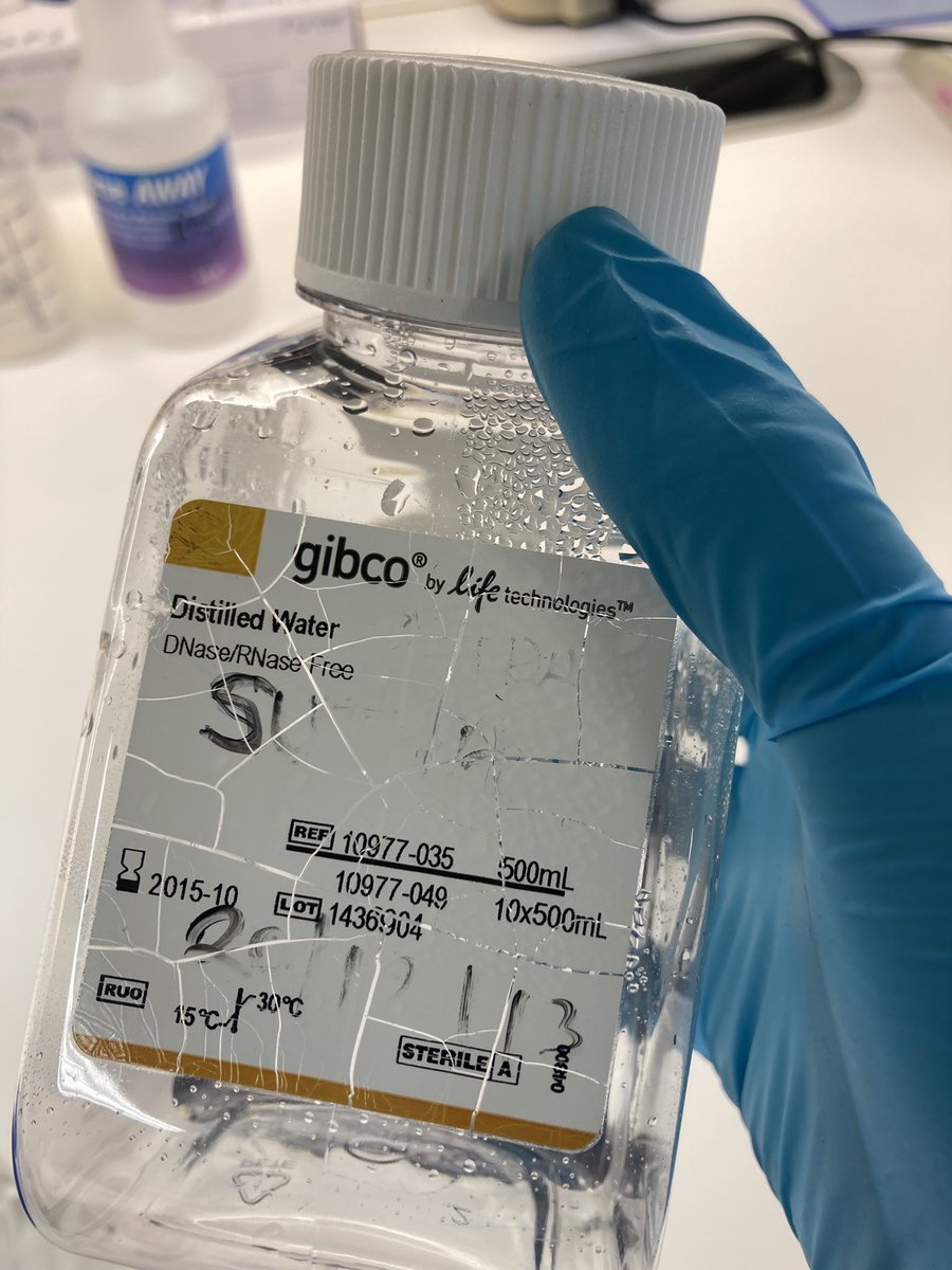 Crystal Turnbull tweet media