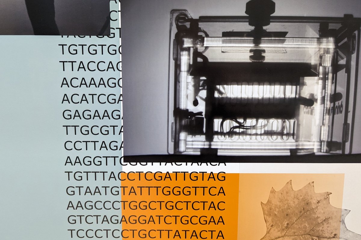This week we're pleased to host artworks from <a href="/EdibleEast/">Edible East</a>, created in collaboration with our <a href="/DarwinTreeLife/">Darwin Tree of Life</a> #BarcodingtheBroads workshops. 

The artworks were co-created with a local primary school, and reflect responses to using #DNAbarcoding to document local #biodiversity.