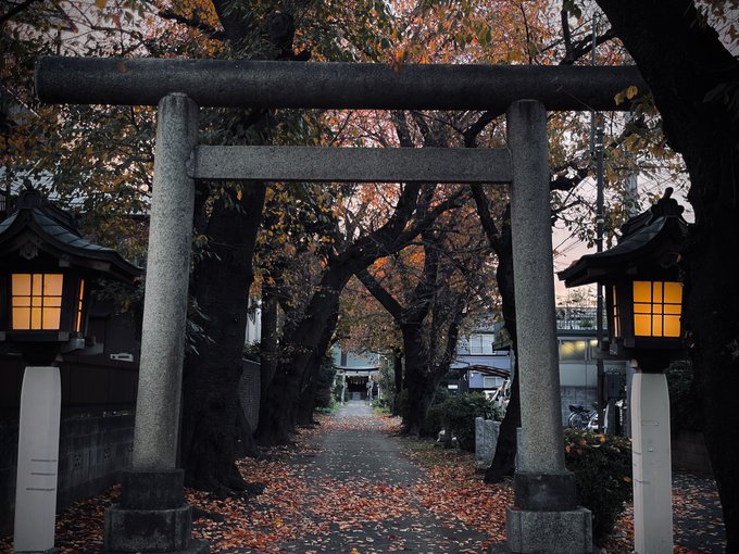 「shrine torii」 illustration images(Latest)