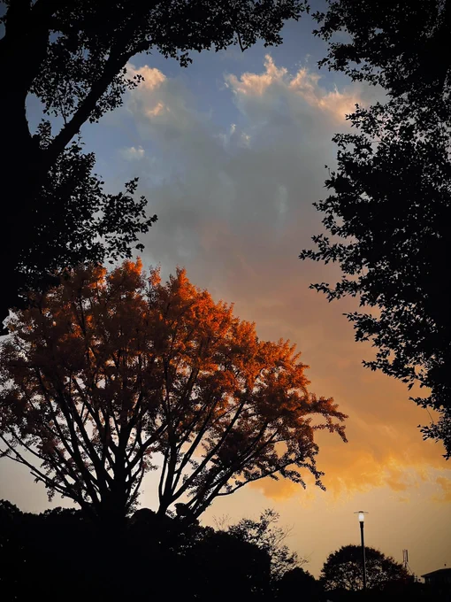 空がいい焼け方をしていた夕暮れ
