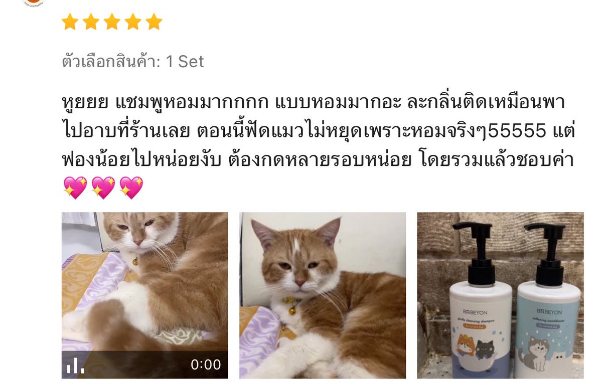 BABEYON อาบน้ำสัตว์เลี้ยง tweet media