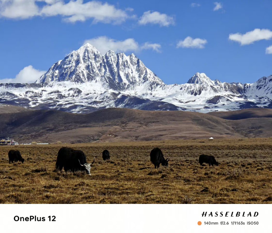 tmktechfamily's tweet photo. 📸🚀 Unveiling the future of photography with the OnePlus 12! 📷 Get ready to capture moments #OnePlus12 #InnovationUnleashed #CaptureTheFuture(1/2) https://t.co/d6L0lPLKBx