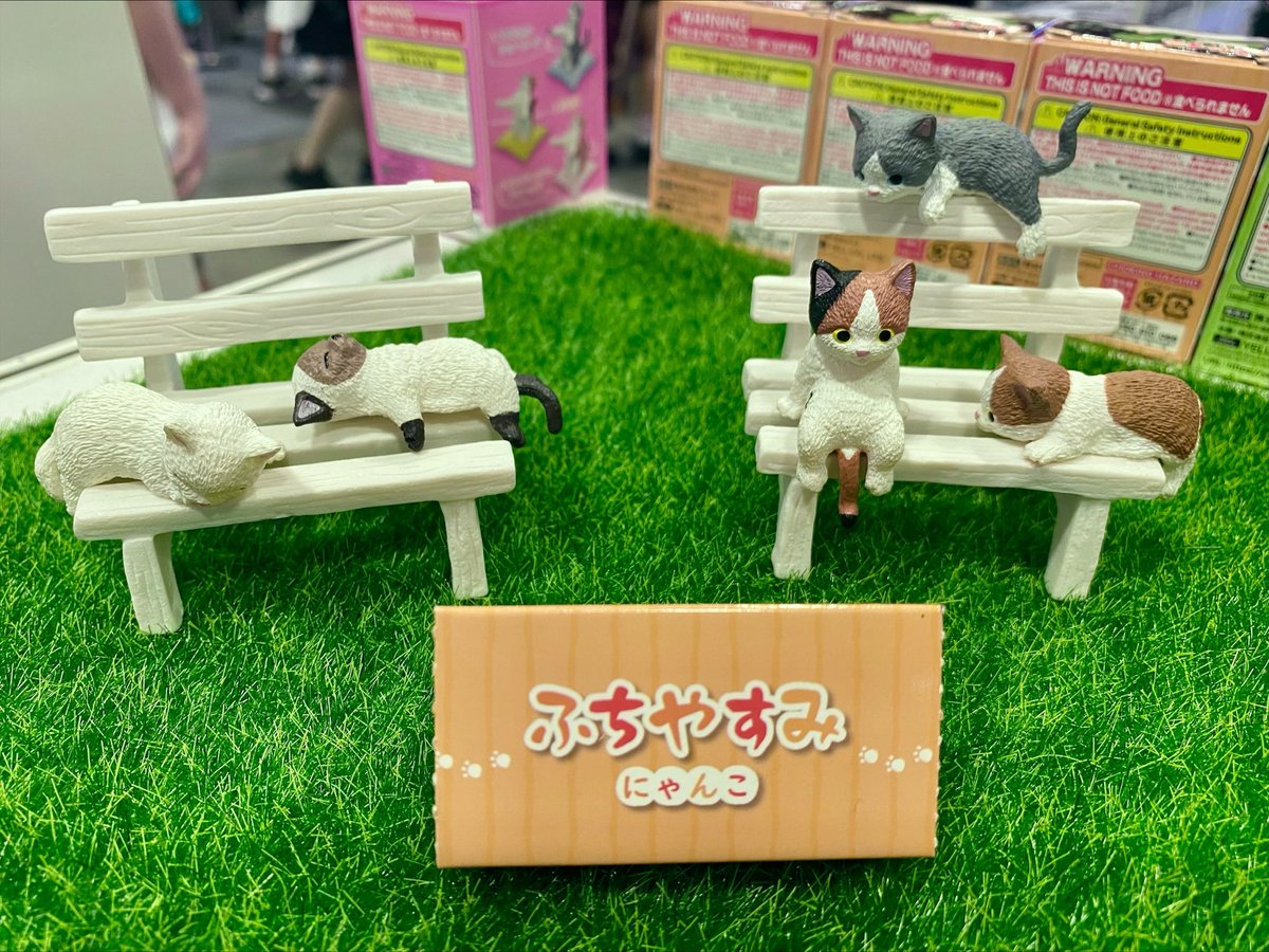 WOC Distribution tweet media