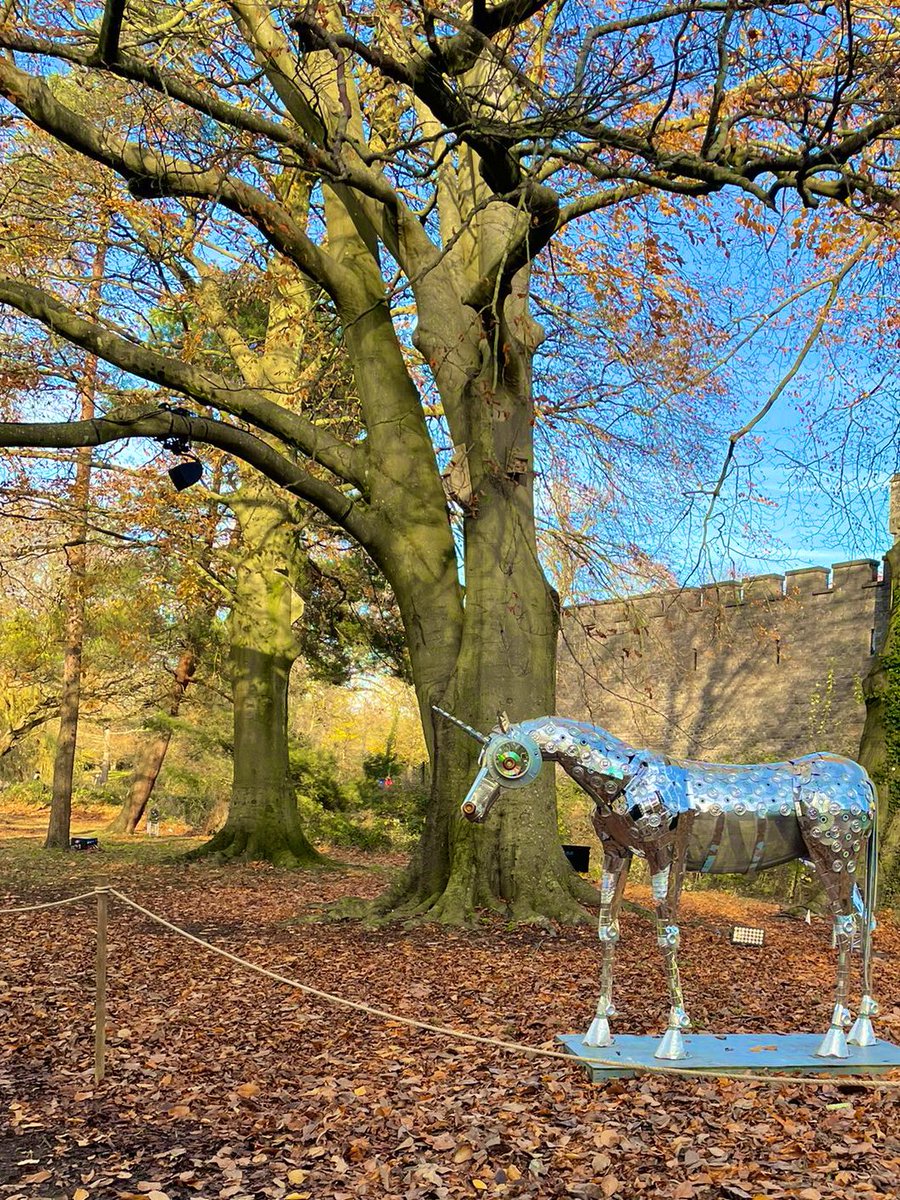 Today’s #ThickTrunkTuesday includes a metal unicorn because why not 🐴

#ButePark #Cardiff #Wales #Horse #TreeClub #Castle