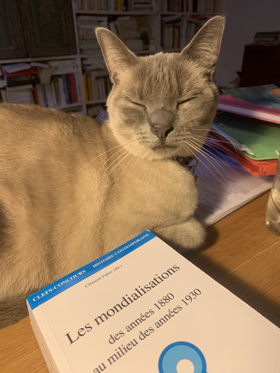 André Loez (en veille, sur bluesky) (@andreloez) on Twitter photo Que celui ou celle qui n’a jamais ressenti un gros coup de fatigue en travaillant un programme de concours dans les frimas de novembre jette la première pierre à <a href="/HermesleChat/">Hermès et Tigresse Louis XVI hate account</a> Que celui ou celle qui n’a jamais ressenti un gros coup de fatigue en travaillant un programme de concours dans les frimas de novembre jette la première pierre à <a href="/HermesleChat/">Hermès et Tigresse Louis XVI hate account</a>