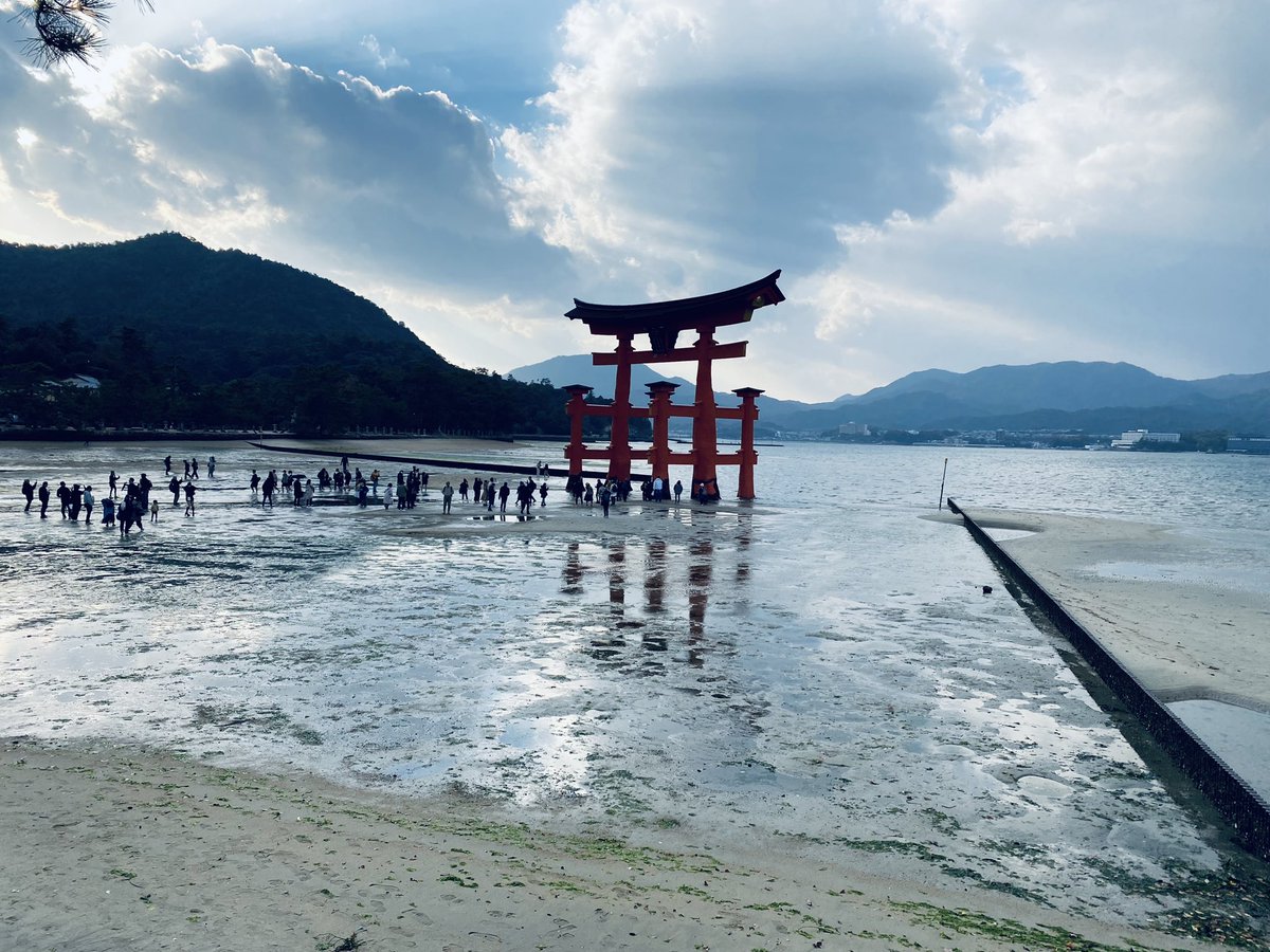 Lain84's tweet photo. Miyajima - Nov’24 https://t.co/JSWvK3mfSh