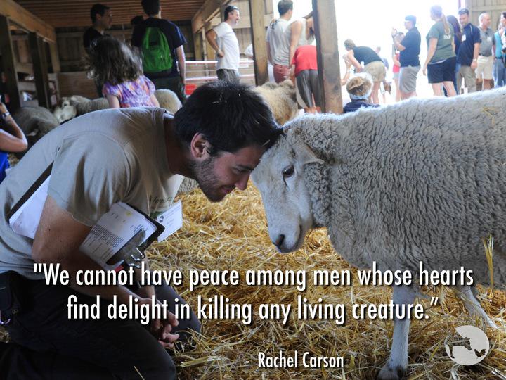 “We cannot have peace among men whose hearts delight in killing any living creature.” - Rachel Carson #StopTheKilling #RespectLife #SilentSpring #Veganism