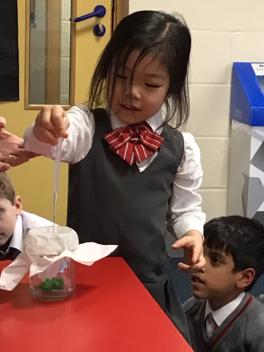 BGS_LowerSch's tweet image. In science #BGS_Yr1 have been investigating the properties of different materials in order to make the best umbrella for our teddies. We now know we need something light and waterproof!  @BGS_ScienceDpt #drips #experiment #data #analysis