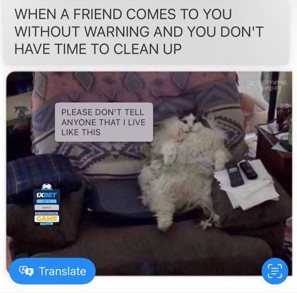 Me right now. Just the Dildo and hitachi around too 😂😇 https://t.co/1pSbxnBDop<a href="/tag/jiology"class="tags"><span>#jiology</span></a>