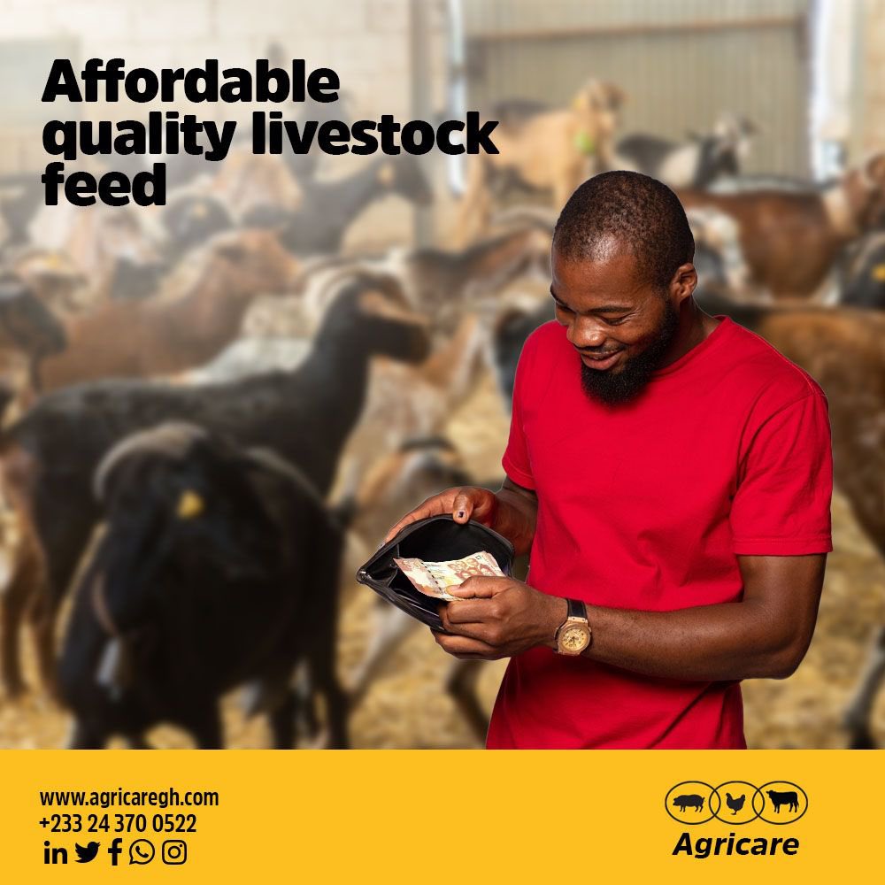 Agricaregh's tweet photo. Agricare produces quality concentrates and feeds that contain all essential nutrients needed for poultry and livestock and is still easy on the average farmer’s pocket!

For more purchase and info
call or text Agricare
+233 24 370 0522
info@agricaregh.org https://t.co/XlWBBxUCrJ