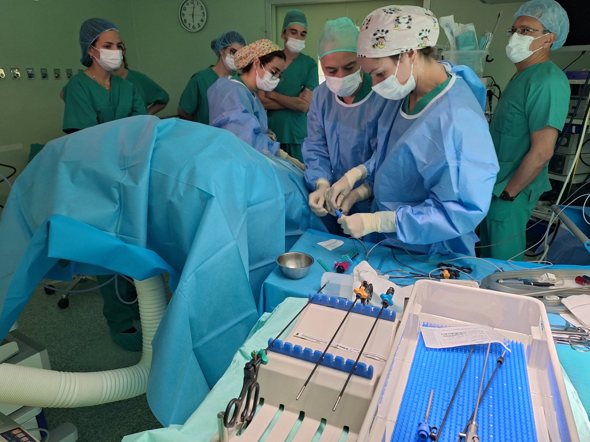 primendocirugia's tweet photo. Quedó latente la importancia del uso de la bolsa de morcelación adecuada ✔️, así como la reducción del impacto sobre el paciente utilizando bajas presiones e instrumental de mini laparoscopia✔️. 

#LoQueNosMueve #Formación #PRIMEndocirugía #CirugíaLaparoscópica #Ginecología https://t.co/X3U2QQhWyr