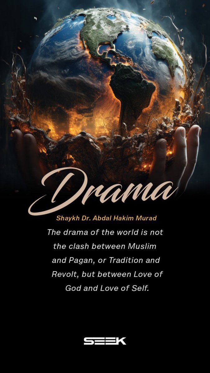 SEEK (@seekcncpt) on Twitter photo 