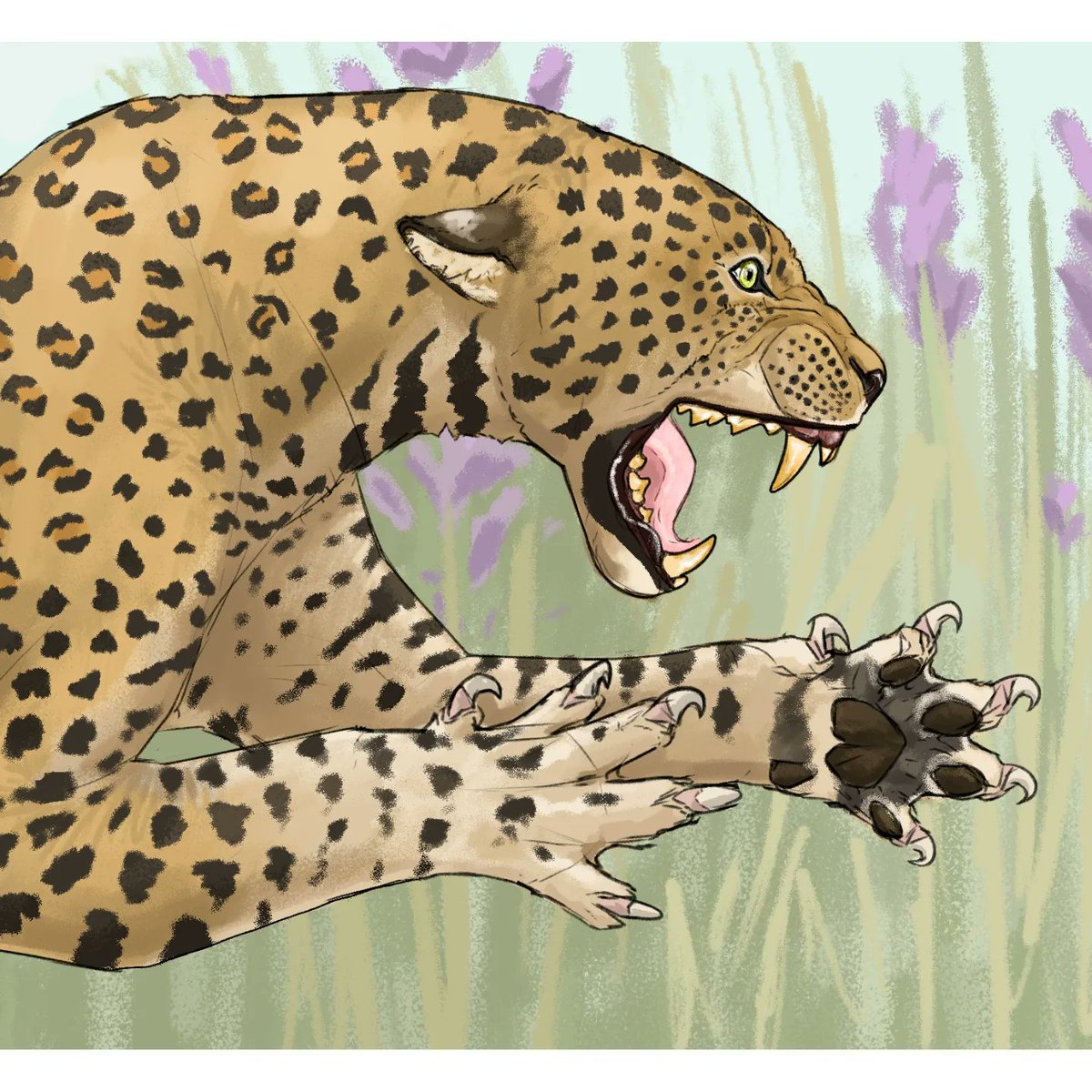 chekalka's tweet photo. Prehistoric clash!
Old drawings of european leopard (Panthera pardus spelaea) and european dhole (Cuon alpinus europaeus), that met somewhere in Germany, during the Eemian interglacial. Meant to be a giftcard for meh frien

#paleoart #panther #leopard #battle #drawing #photoshop https://t.co/Z2eIObLVeu