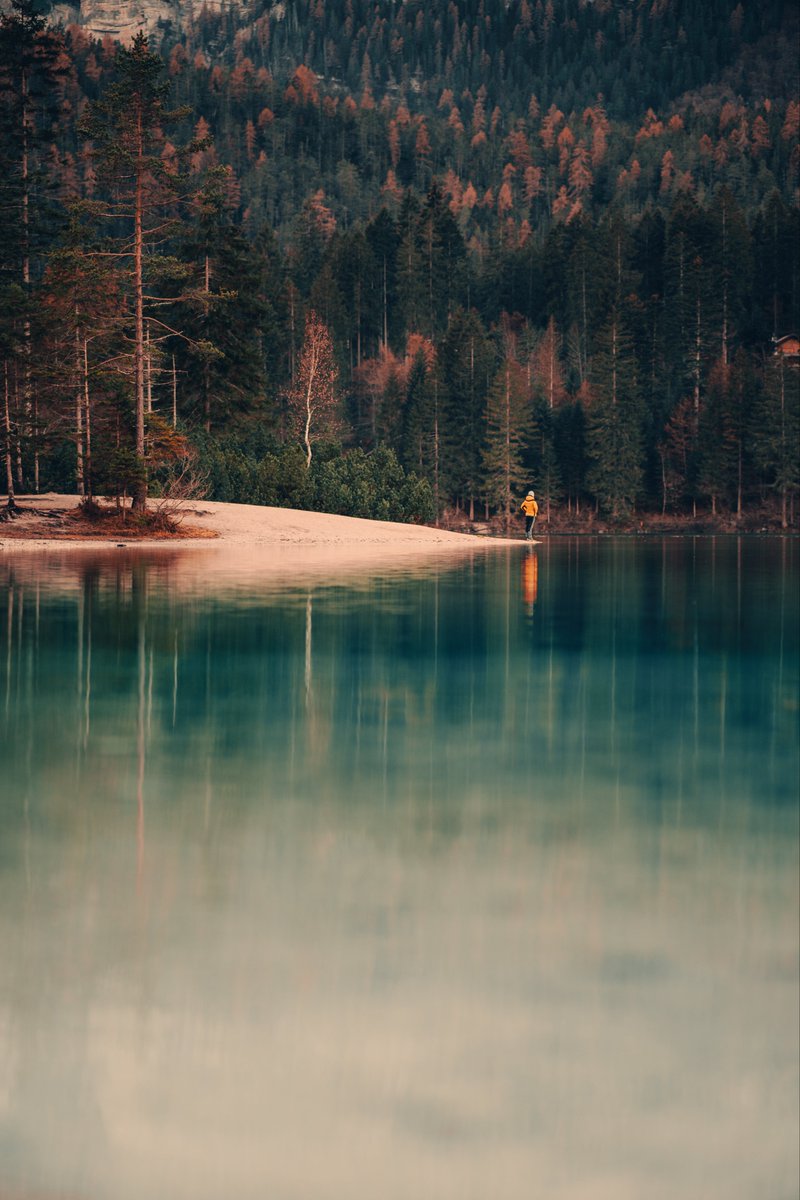 GM European X fam ☕️

Embracing the week with the warmth of autumn hues. As the leaves change, so can we adapting, growing, and painting our own vibrant stories

#NFTartist #NFTCommunity #kk #blamekato