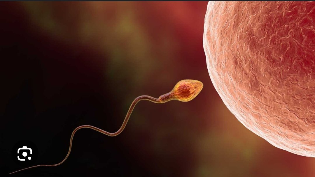 Quejándome de mi carrera, pero la peor en la que me metí fue en esta