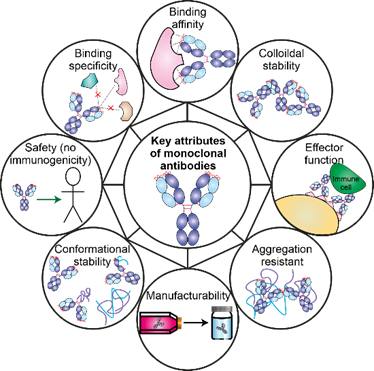 Are you looking for a funded PhD with a focus on industrial need? We have a iCASE studentship with a large biopharmaceutical company to use directed evolution to facilitate the production of target proteins using our beta-lactamase assay. Details at: 
findaphd.com/phds/project/w…