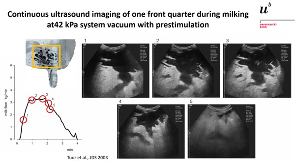 Prof. Rupert Bruckmaier #IDFMilkingTechnologies2023 by <a href="/FIL_IDF/">International Dairy Federation</a> 
 
“Complete, fast &amp; gentle milk is possible at high milking vacuum: if the vacuum is reduced during low milk flow; &amp; early cluster detachment has an additional beneficial effect on machine-on time &amp; teat condition»