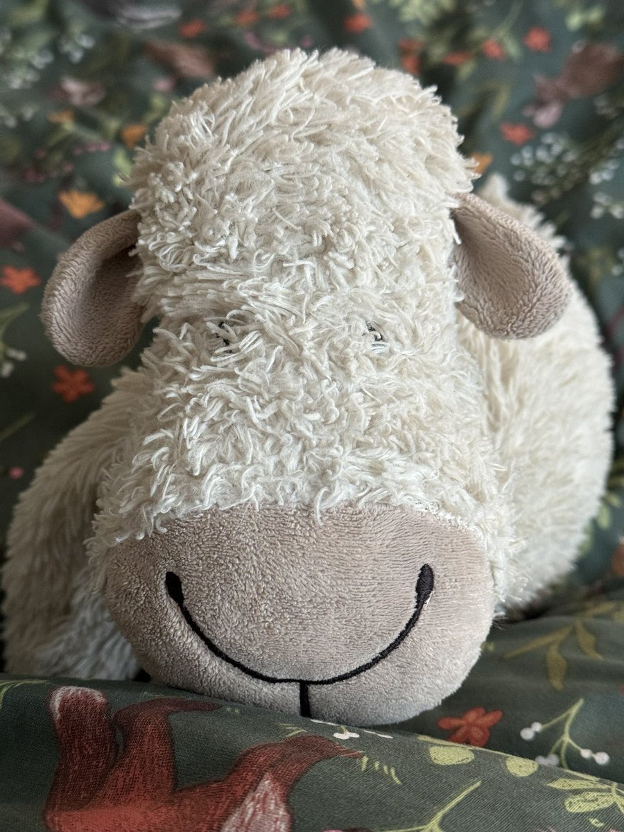 Truffles the Sheep tweet media