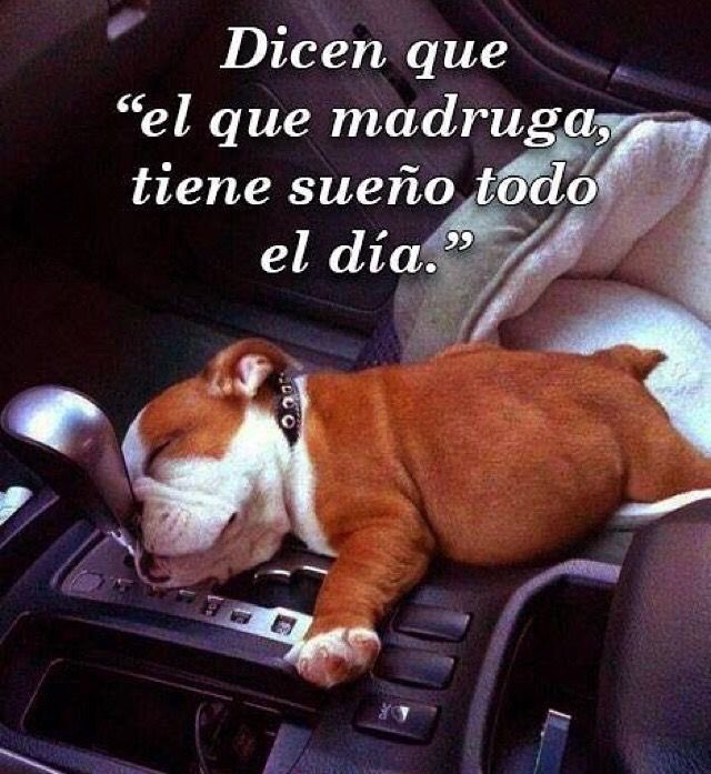 mvguerreror's tweet photo. #martes #28denoviembre #buenosdías #sevanoviembre #FelizMartesATodos #buenosdíasX #madrugando #tengosueño #necesitocafé #muchocafé #graciasDios #vida #salud https://t.co/NIXyscXk4j