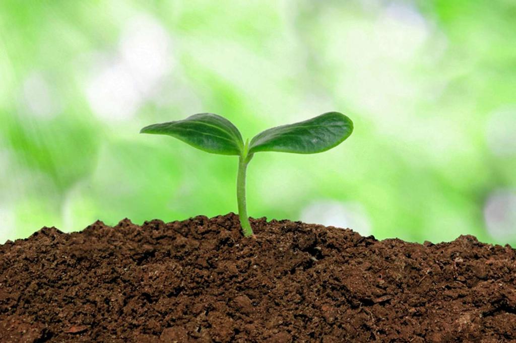 #Soil, also commonly referred to as earth or dirt, is a #mixture of organic matter, minerals, gases, liquids, and organisms that together support the life of #plants and #soilorganisms.
#soilaction