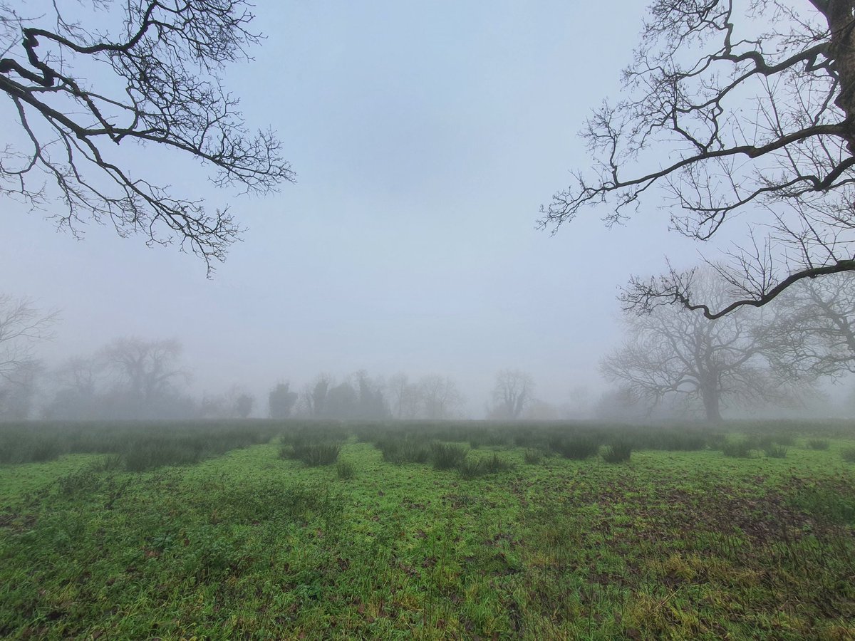 Nice morning for it! #whaleybridge #derbyshire #highpeak #england #fog #foggymorning #countryside #greatbritain #photography #dogwalk