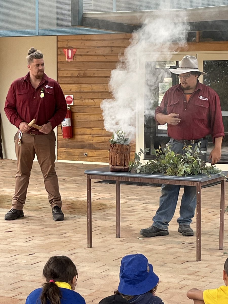 Birrigai Outdoor School tweet media