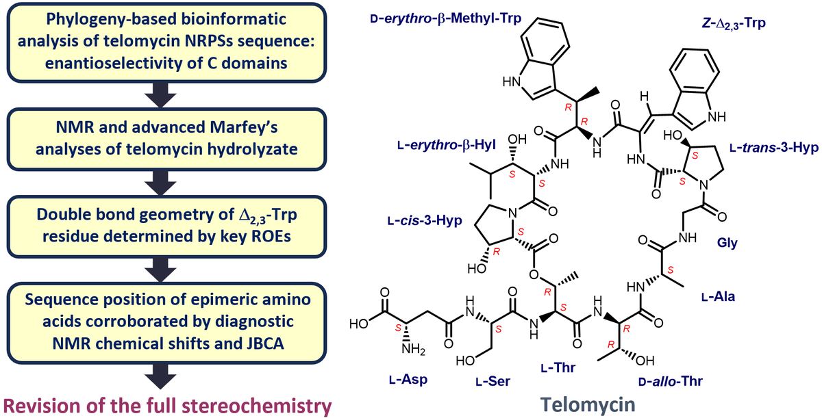 Very happy to share our latest publication describing the revision of the full stereochemistry of the exciting telomycin antibiotic by combining phylogeny-based bioinformatic analysis of its NRPSs sequence and rigorous chiral amino acid analysis doi.org/10.1039/D3QO01…