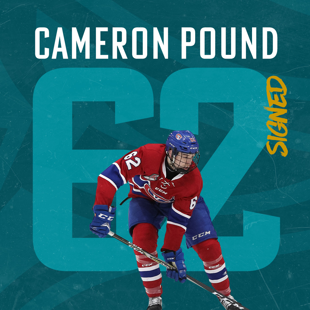 🚨 SIGNING NEWS ✍️

The Stena Line Belfast Giants can confirm the signing of 24-year-old D-man Cameron Pound for the remainder of the 2023/24 season, following a number of injuries within the roster.

Welcome to Belfast, Cameron. 🤝

🗞️ Read about #62: bit.ly/CameronPound23…
