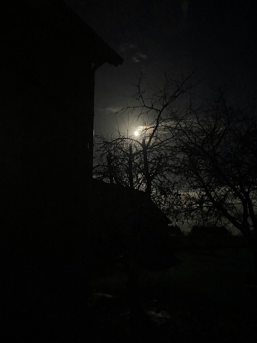 almodoro's tweet photo. Moonlight 🌙 https://t.co/JVibvKX42m