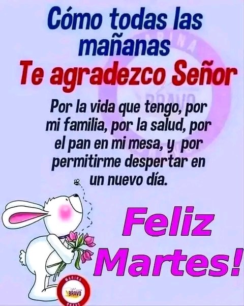 Gracias!!!