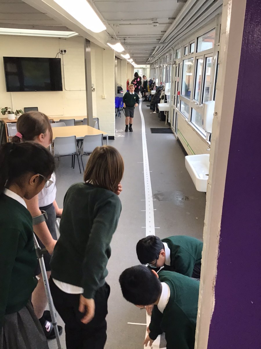 Today Year 6 completed their own timeline of evolution. There were some surprising facts! #darwin #evolution #science