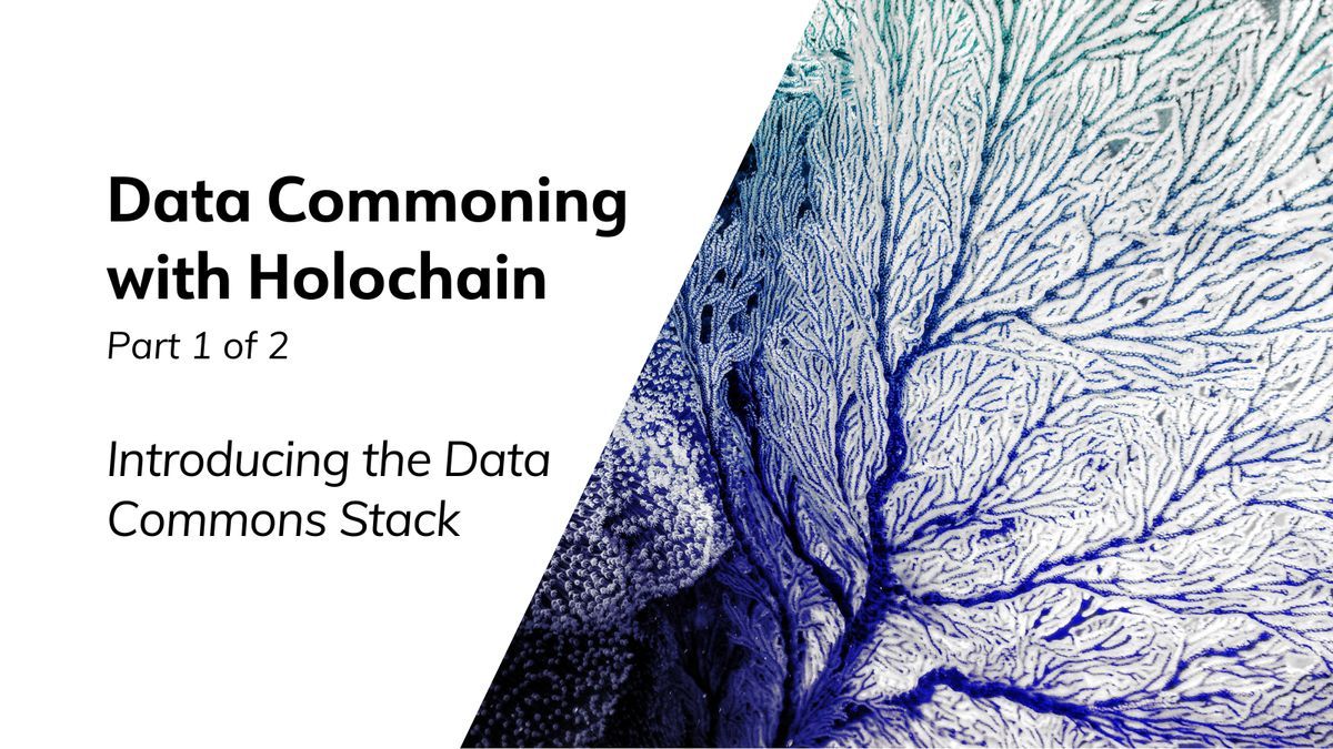 Holochain's tweet photo. "In a world of information overflow, data commoning becomes crucial for a generative future."
Explore the complexities of data-driven #sensemaking with Arkology Studio's @che_coelho and @rosseyre in our latest guest blog post. 🧩 📊 https://t.co/S840kyARMp https://t.co/VTIw6WPqqr