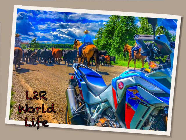L2Rworld's tweet photo. Knowing that ‘just another typical riding season in Canada’ is beyond spectacular!

#l2rworld
#motorcycles
#motorcycling
#motorcyclelife
#motorcyclelifestyle https://t.co/YE0EpFrCmK