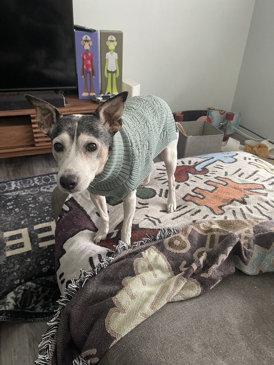 leftlost.eth 🍌 tweet media