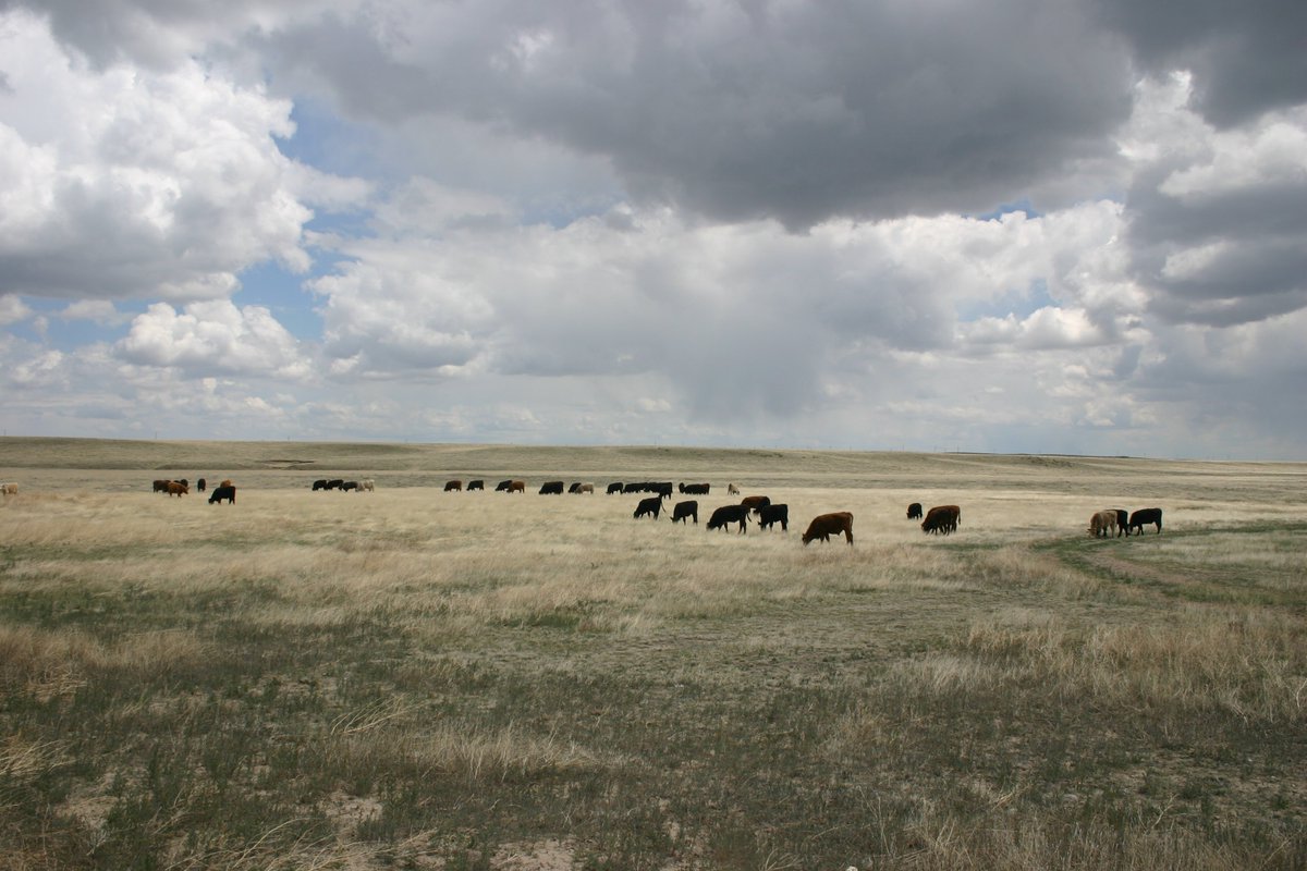 Agricultural Research Service tweet media